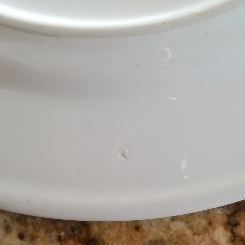 VILLEROY & BOCH
Botanica Porcelain Dinner Plate - Picture 9 of 11